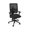 Viasit Toleo Chair
